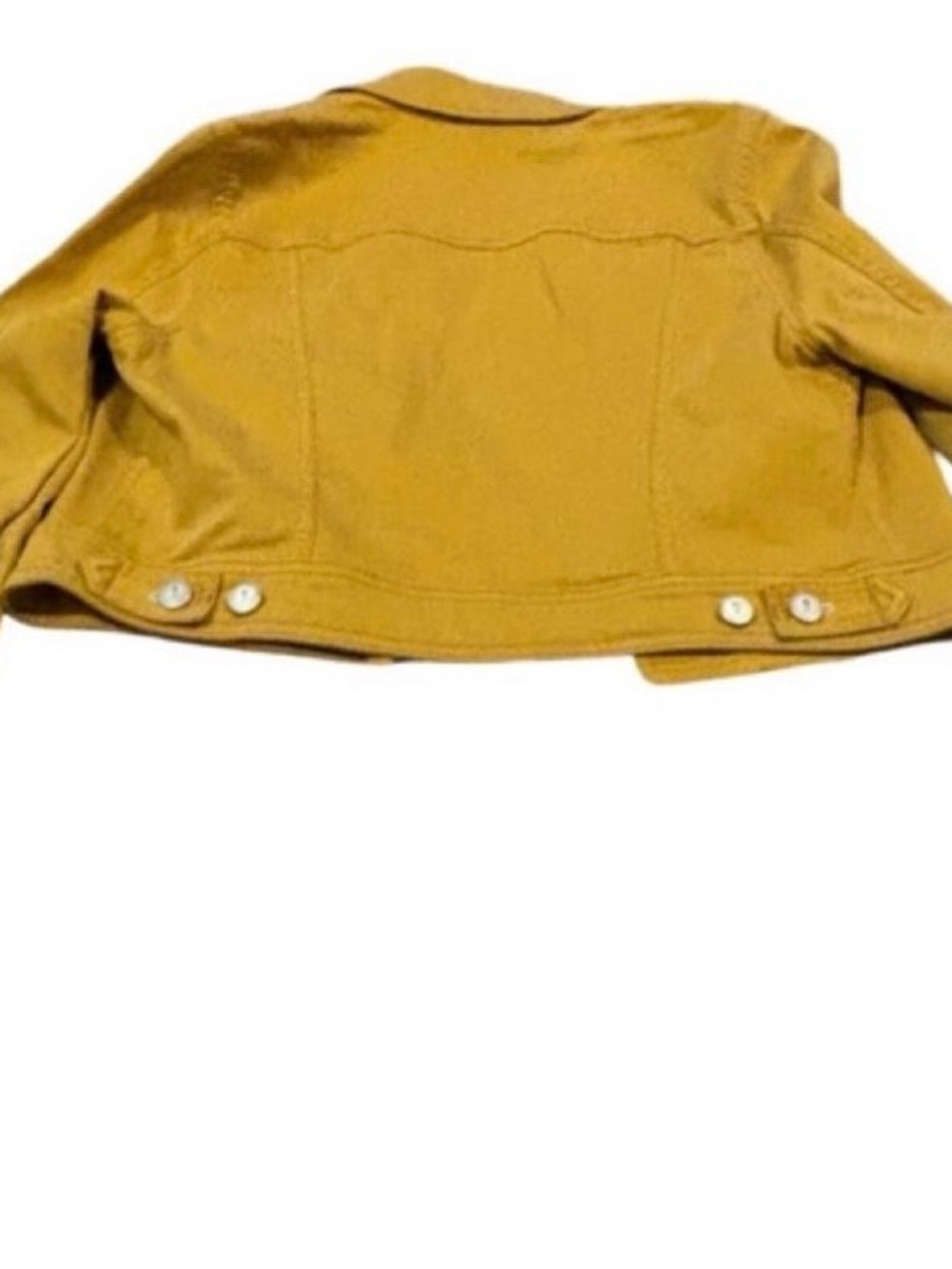 Medium Pilcro and the Letterpress mustard cropped denim trucker jacket- yellow - Picture 2 of 4
